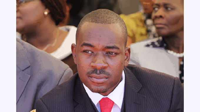 Kumbirai Thierry Nhamo: Nelson Chamisa's Face as a Logo - A Questionable Choice for CCC